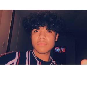 Meet your Posher, Jetli